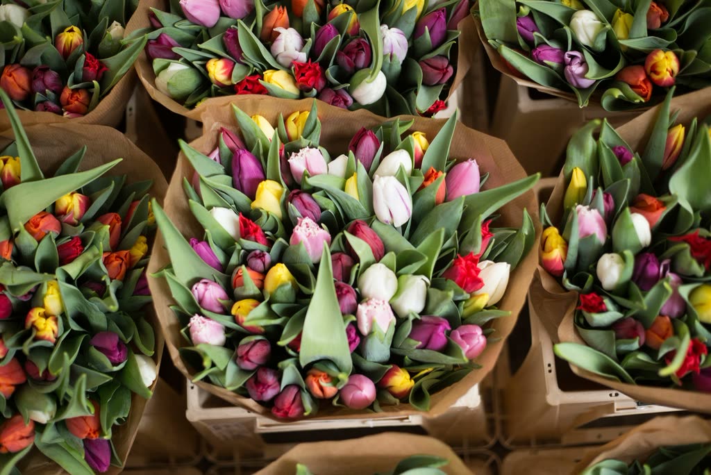 Bundles of colourful tulips displayed at a flower market
